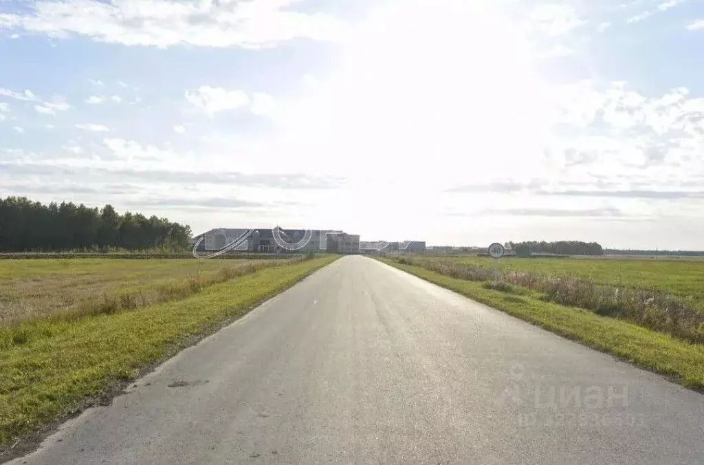 Участок в Тюменская область, Тюменский муниципальный округ, д. ... - Фото 1