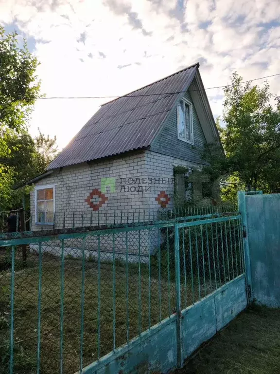 Дача 31,7 м на участке 3,8 сот. - Фото 0