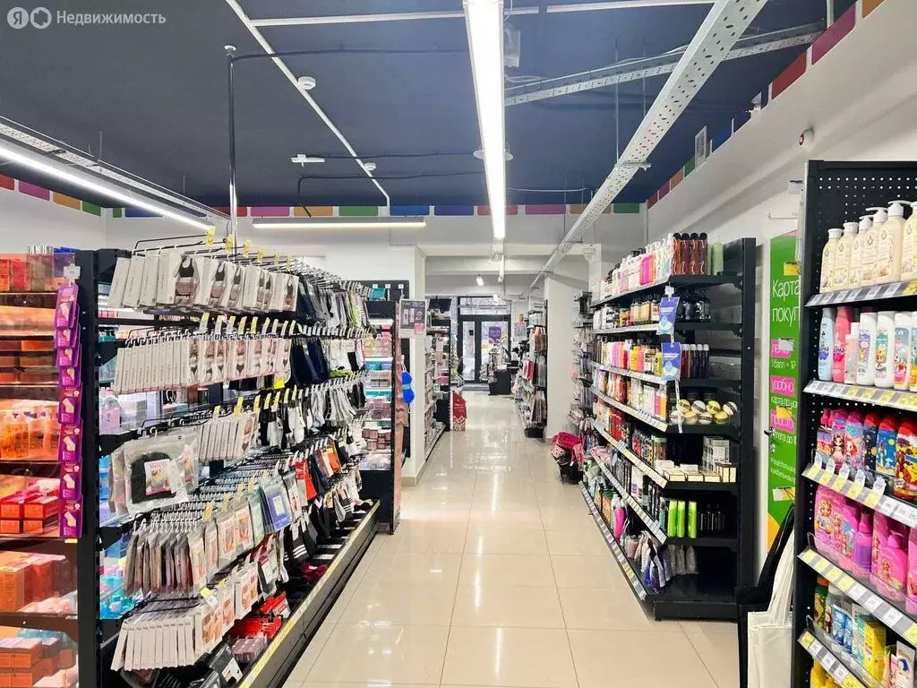 Помещение свободного назначения (209 м) - Фото 2