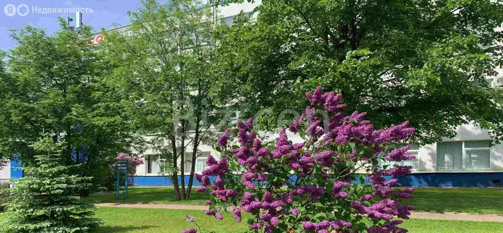 Офис (33.1 м) - Фото 1