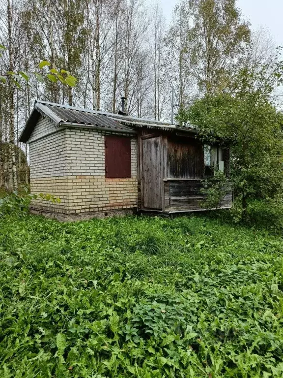 Участок в Ленинградская область, Киришский район, Пчевское с/пос, д. ... - Фото 1