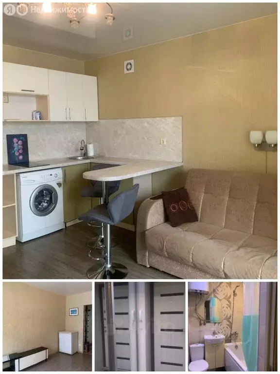 Квартира-студия: село Чигири, Центральная улица, 34 (21 м) - Фото 1