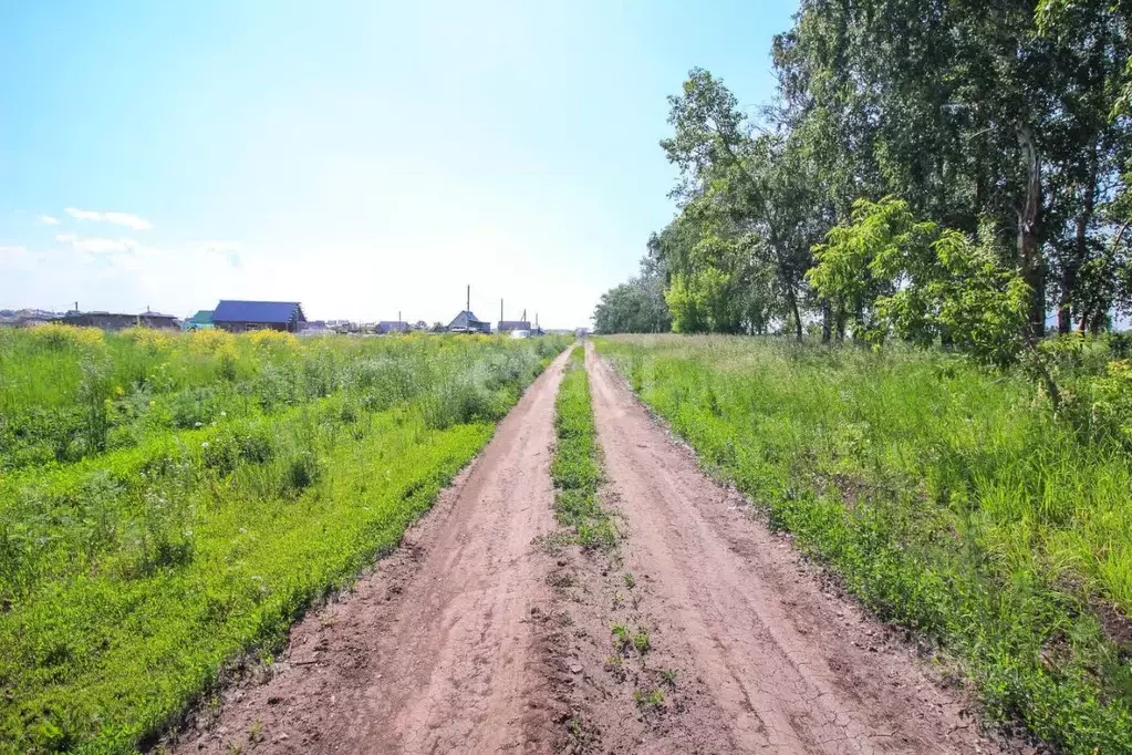 участок в алтайский край, павловский район, п. молодежный днт (10.0 . - Фото 0