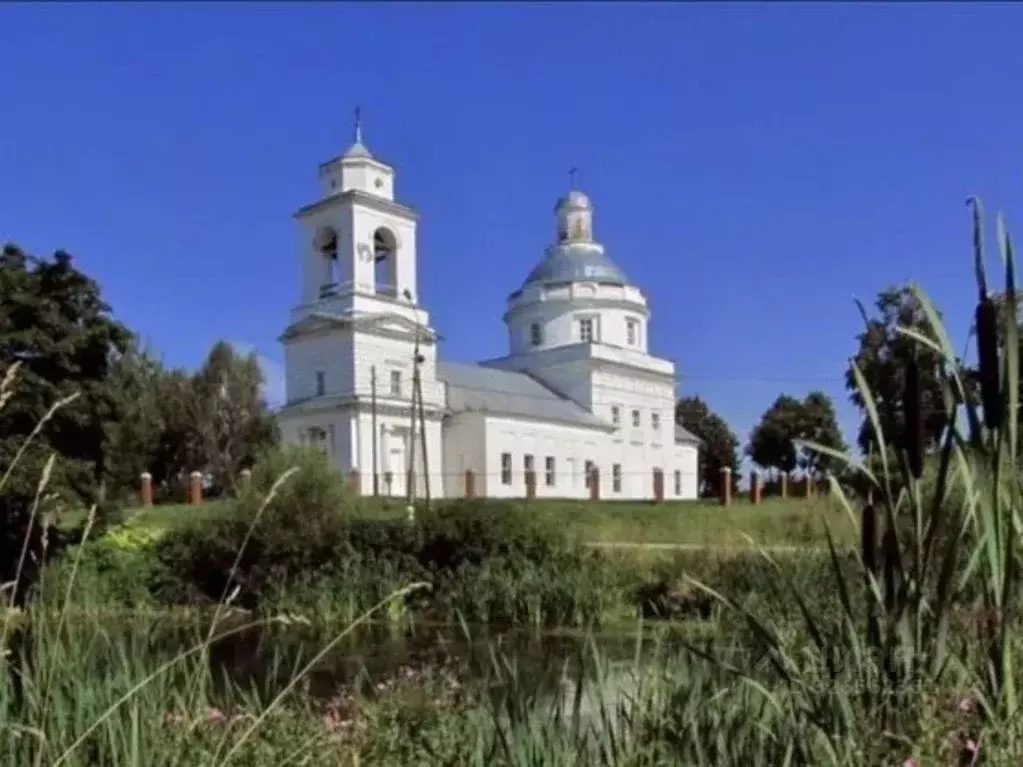 Участок в Московская область, Шаховская муниципальный округ, с. Белая ... - Фото 2