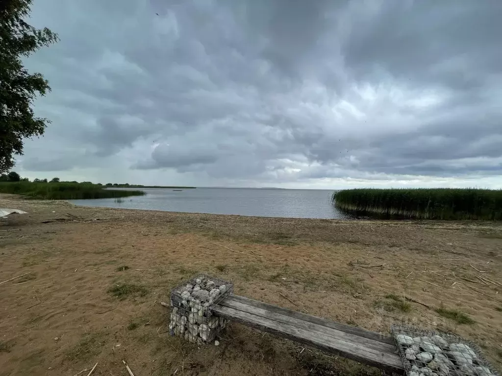 Участок в Псковская область, Печорский муниципальный округ, д. Слудицы ... - Фото 1