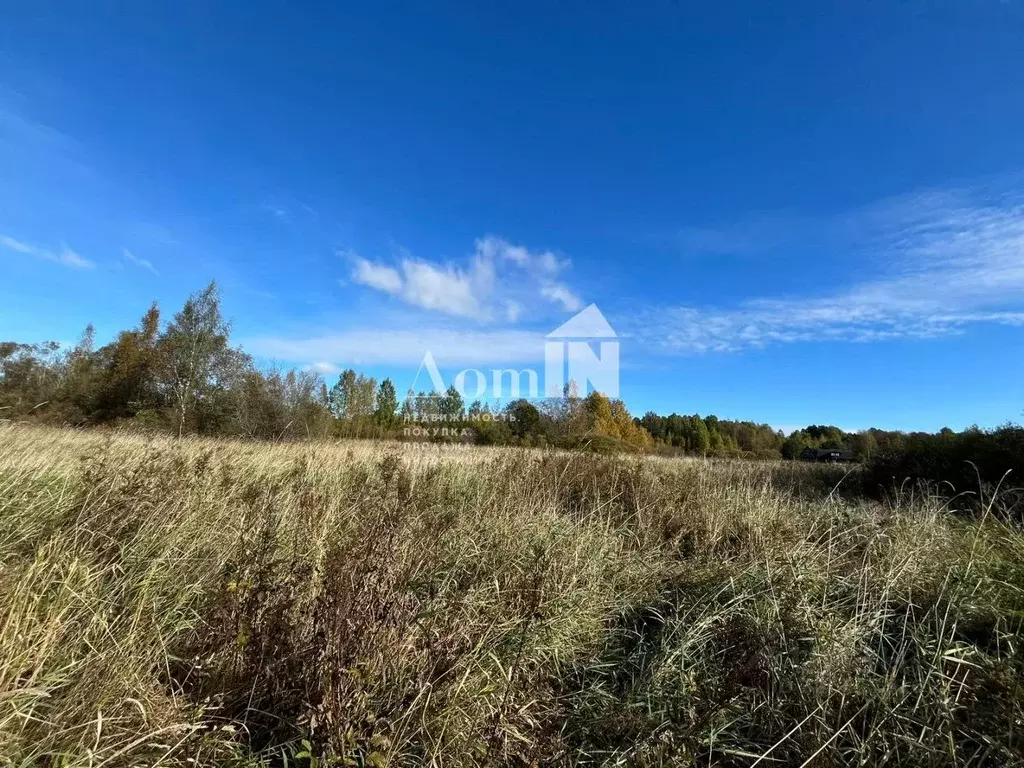 Участок в Ленинградская область, Приозерский район, Ромашкинское ... - Фото 1