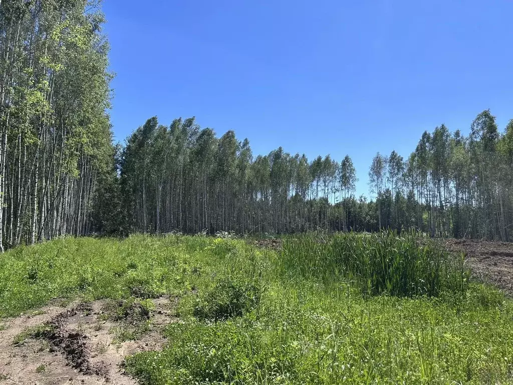 Участок в Московская область, Дубна Стела ПОИЗ,  (10.0 сот.) - Фото 2