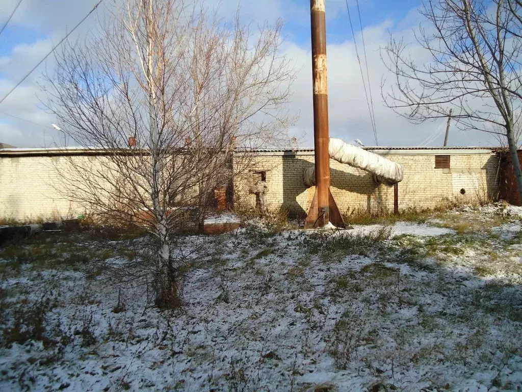 Помещение свободного назначения в Курганская область, с. Половинное ... - Фото 1