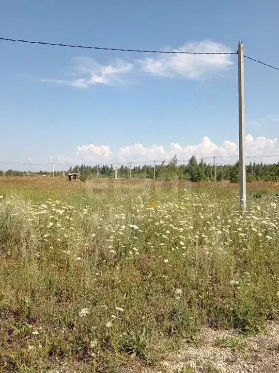 Участок в Липецкая область, Добровский муниципальный округ, с. ... - Фото 1