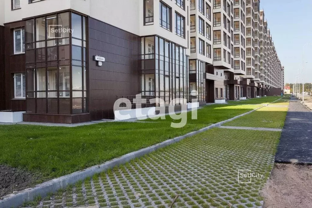Студия Санкт-Петербург просп. Буденного, 23к5 (24.53 м) - Фото 1