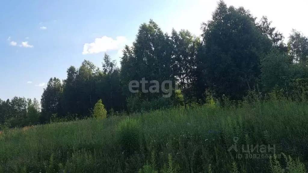 Участок в Новосибирская область, Новосибирский район, Барышевский ... - Фото 1