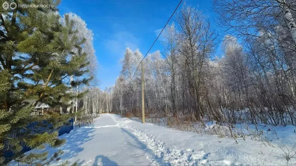 Участок в Тюменская область, Нижнетавдинский муниципальный округ, СТ ... - Фото 1