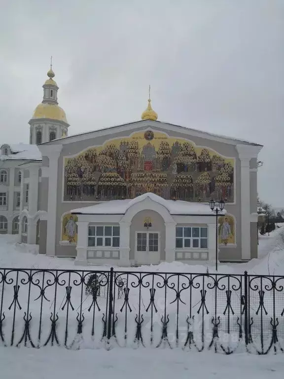 Дом в Нижегородская область, с. Дивеево ул. Восточная, 25 (100 м) - Фото 1