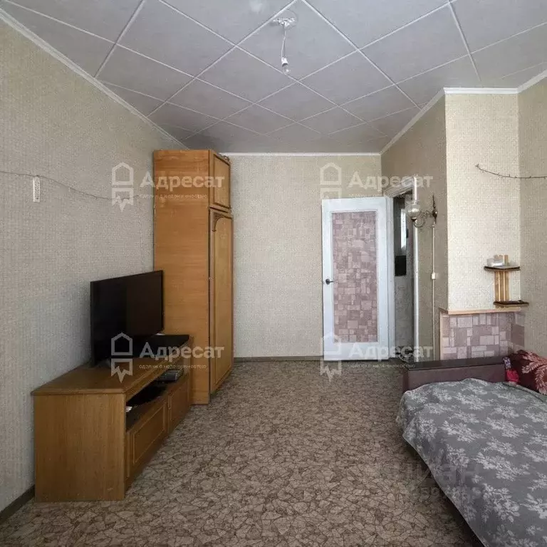 1-к кв. Волгоградская область, Волжский 13-й мкр, ул. Мечникова, 8 ... - Фото 1