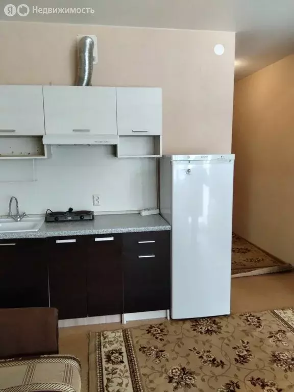 Квартира-студия: Нижний Новгород, Южный бульвар, 19 (19.4 м) - Фото 2