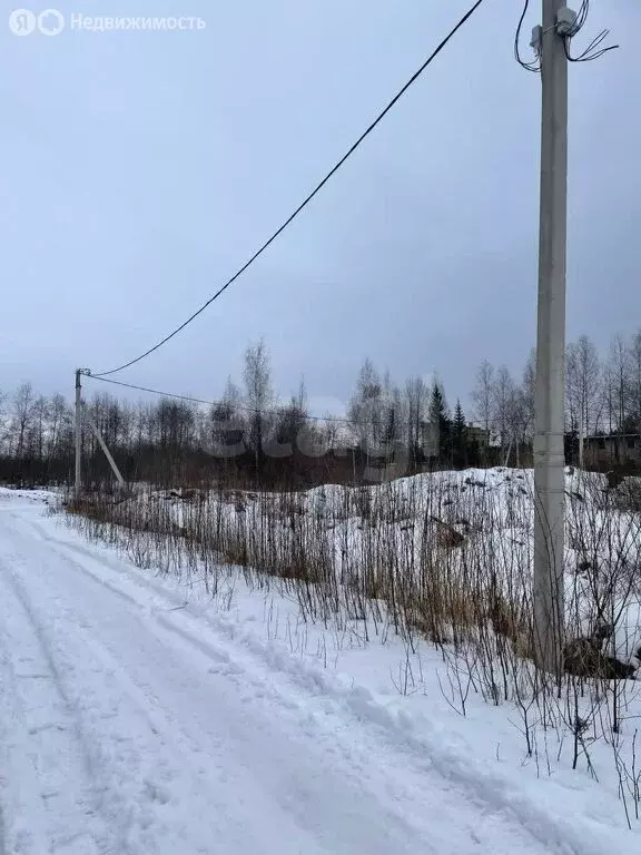 Участок в Пениковское сельское поселение, деревня Большое Коновалово ... - Фото 0