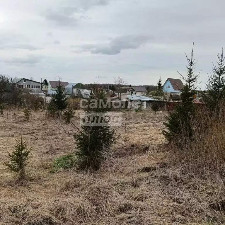 Участок в Московская область, Дмитровский муниципальный округ, пос. ... - Фото 1