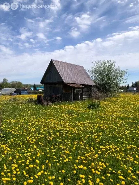 Дом в село Верхний Изяк, улица Пушкина, 12 (31 м) - Фото 0
