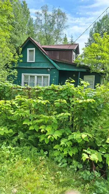 Участок в Ленинградская область, Всеволожский район, Лесколовское ... - Фото 0