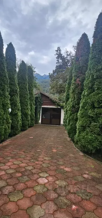 Участок в Краснодарский край, Сочи городской округ, Красная Поляна пгт ... - Фото 2