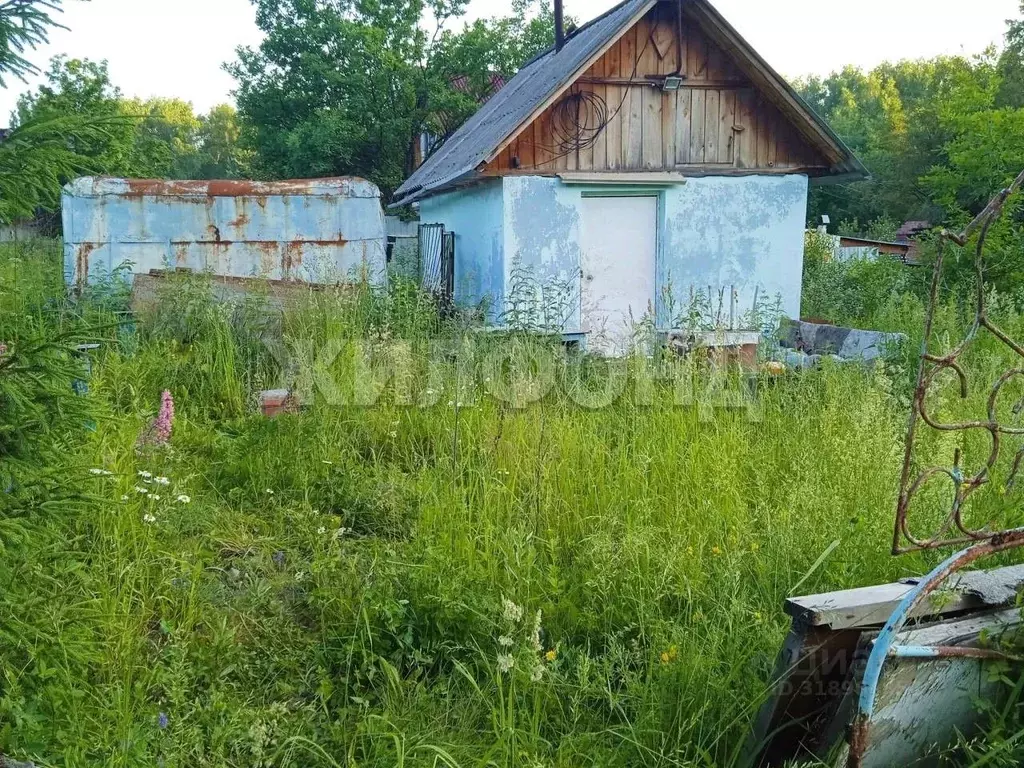 Участок в Новосибирская область, Новосибирский район, Раздольненский ... - Фото 0