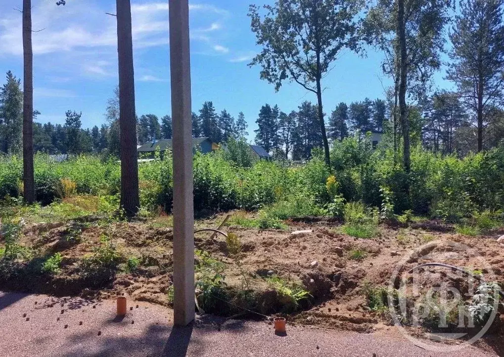 Участок в Ленинградская область, Выборгский район, Полянское с/пос, ... - Фото 1