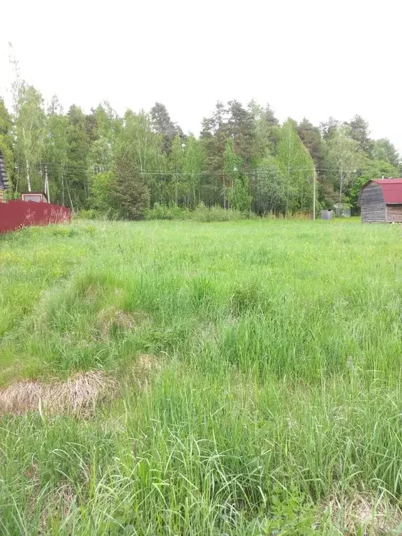 Участок в Ленинградская область, Выборгский район, Каменногорское ... - Фото 0