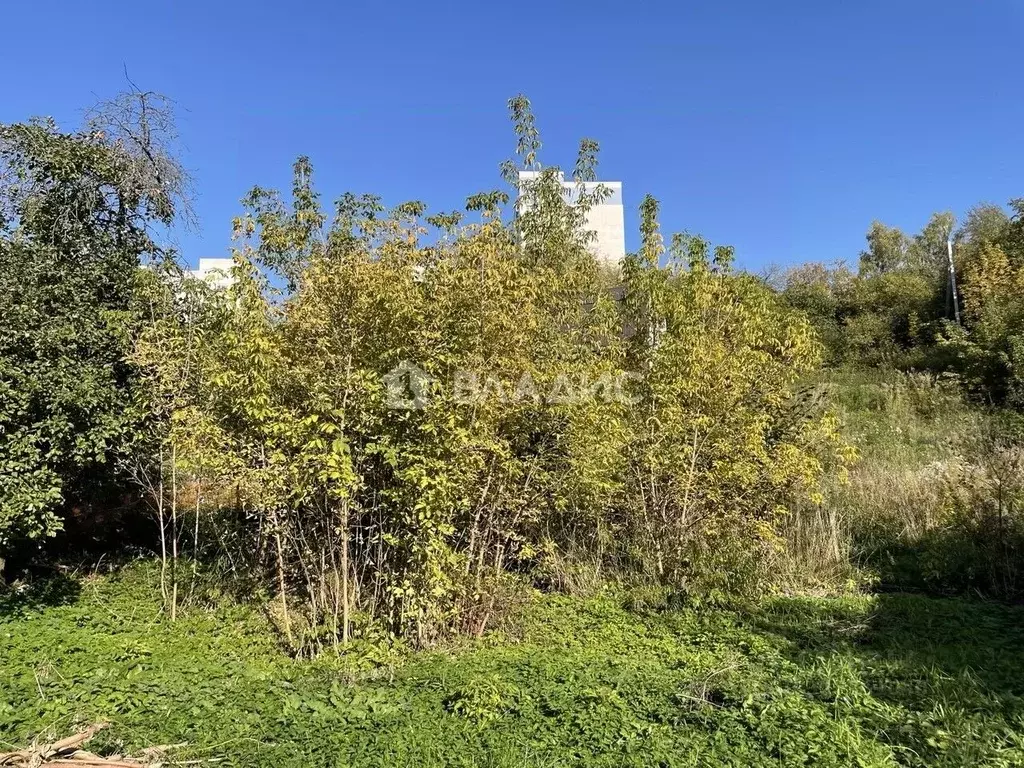 Участок в Нижегородская область, Нижний Новгород Анкудиновское ш., 3Б ... - Фото 1