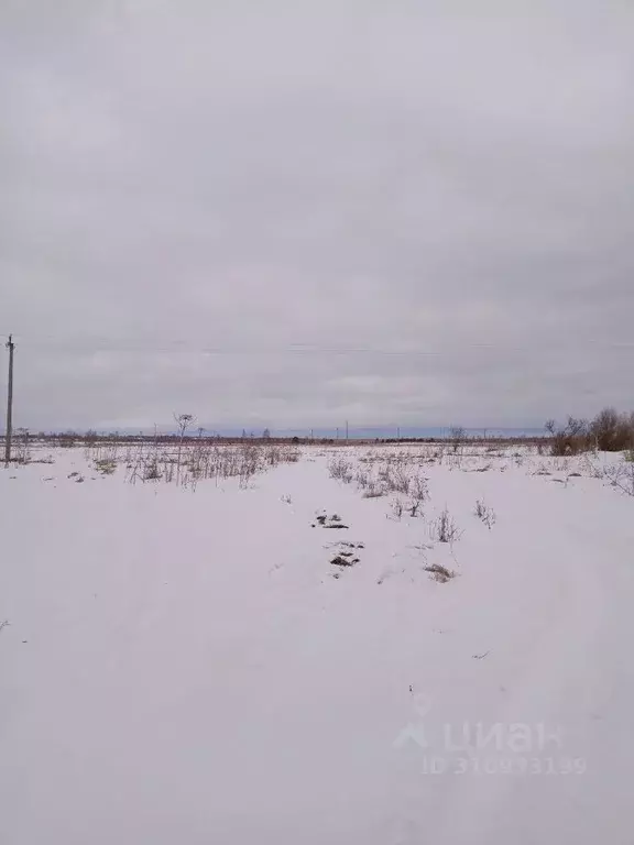 Участок в Тверская область, Калининский муниципальный округ, пос. ... - Фото 0