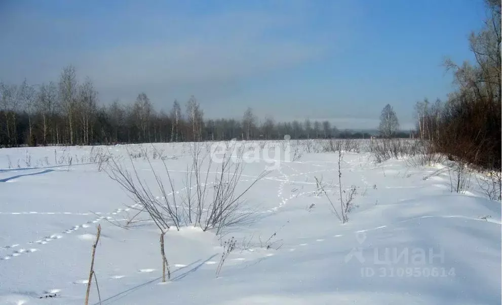 Участок в Кемеровская область, Юрга 1-я Раздольная ул., 1 (13.2 сот.) - Фото 0