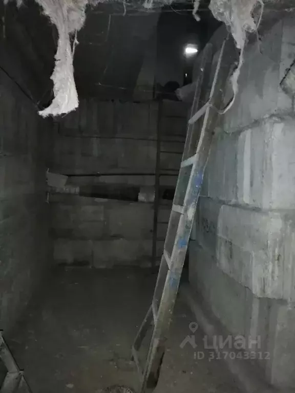 Помещение свободного назначения в Коми, Воркута Тиманская ул., 6 (270 ... - Фото 1