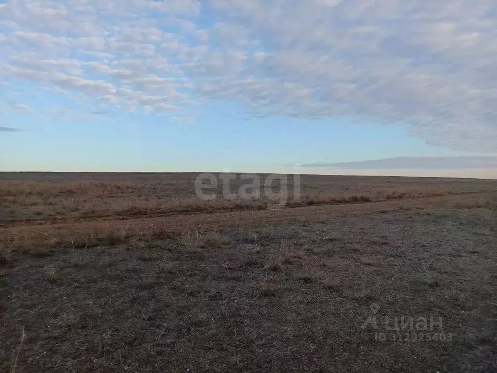 Участок в Крым, Сакский район, с. Суворовское  (200.0 сот.) - Фото 0