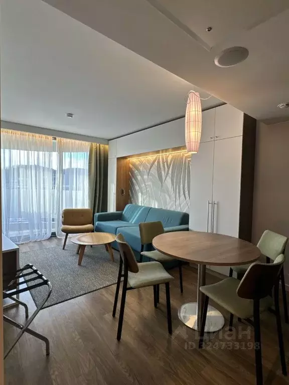 1-к кв. Краснодарский край, Сочи городской округ, Дагомыс пгт ул. ... - Фото 2