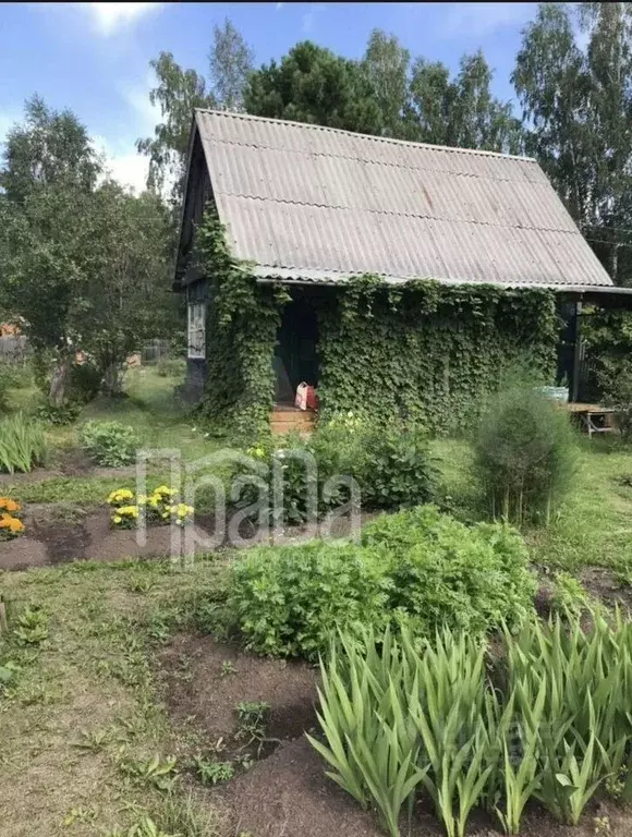 Дом в Красноярский край, Емельяновский район, Мининский сельсовет, ... - Фото 1
