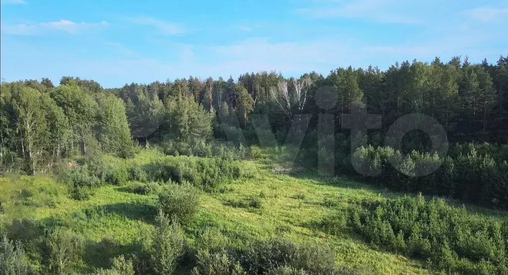 Участок 1,65 га (ИЖС) - Фото 0