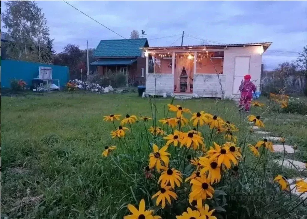 Участок в Новосибирская область, Новосибирский район, Барышевский ... - Фото 1