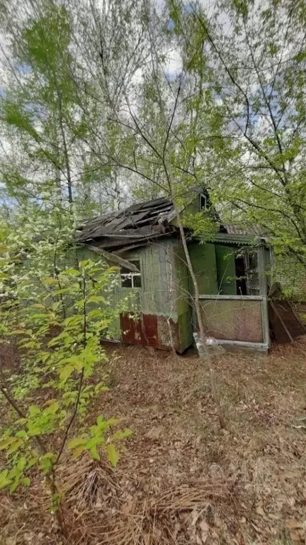 Участок в Амурская область, Свободный  (9.99 сот.) - Фото 2