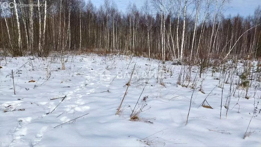 Участок в городской округ Калуга, деревня Матюнино (15 м) - Фото 0