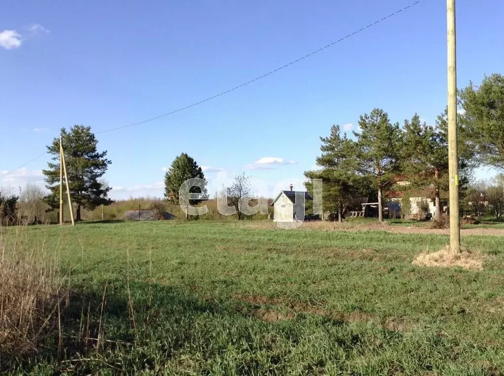 Дом в Вологодская область, д. Междуречье  (48 м) - Фото 1