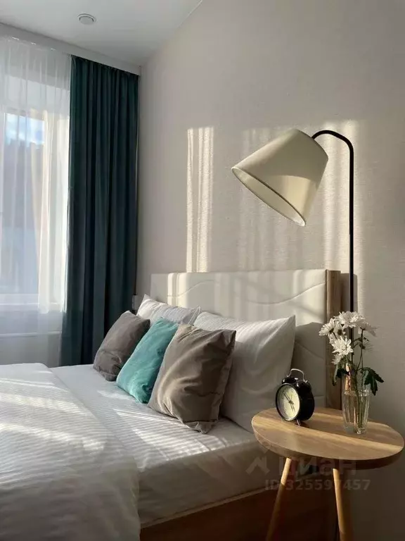 1-к кв. Амурская область, Благовещенск ул. Мухина, 1 (28.9 м) - Фото 1