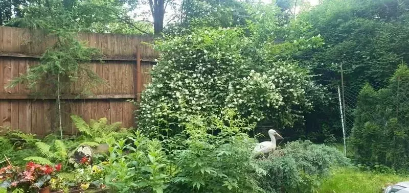 Дом в Московская область, Истра муниципальный округ, пос. Станции ... - Фото 1