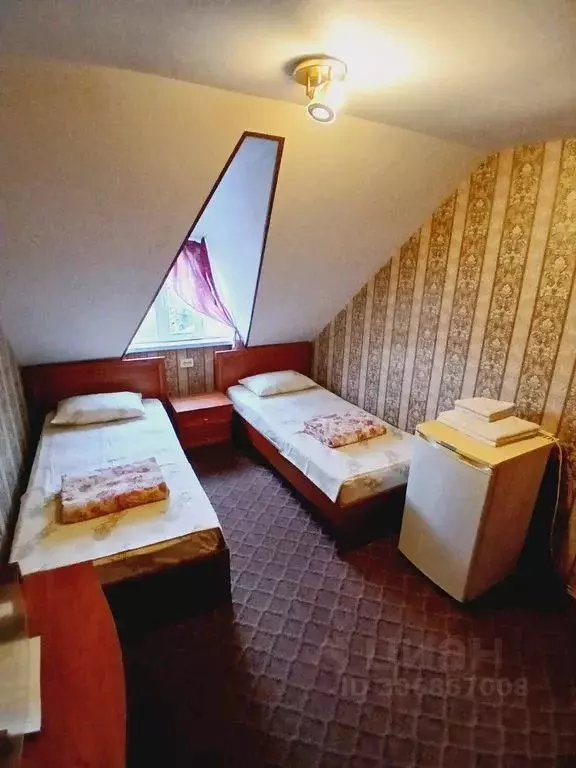 Комната Краснодарский край, Сочи ул. Ленина, 131 - Фото 1