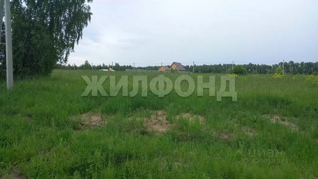 Участок в Новосибирская область, Ордынский район, д. Плотниково ... - Фото 1