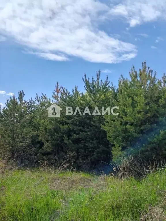 Участок в Иркутская область, Шелеховский район, Баклашинское ... - Фото 1