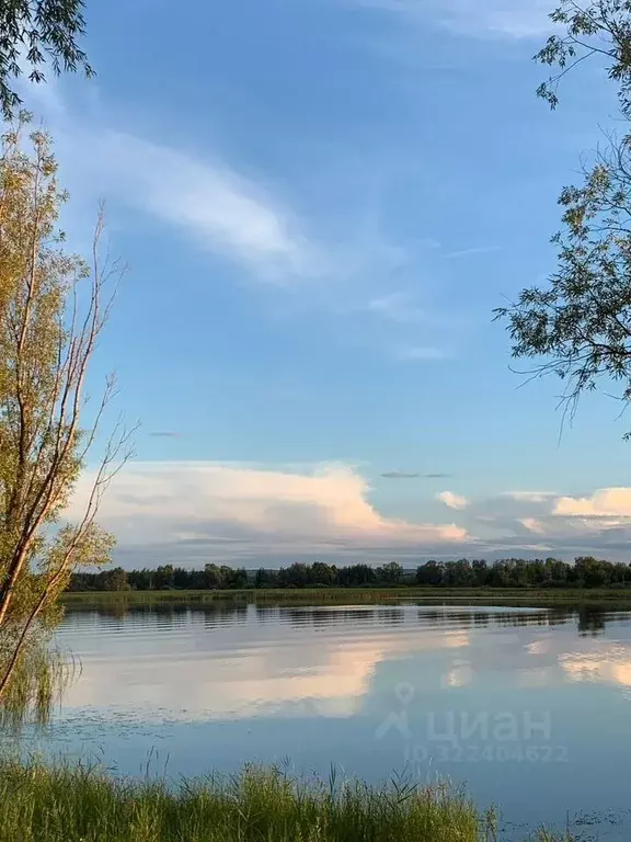 Участок в Татарстан, Лаишевский район, Нармонское с/пос, с. Тетеево  ... - Фото 1
