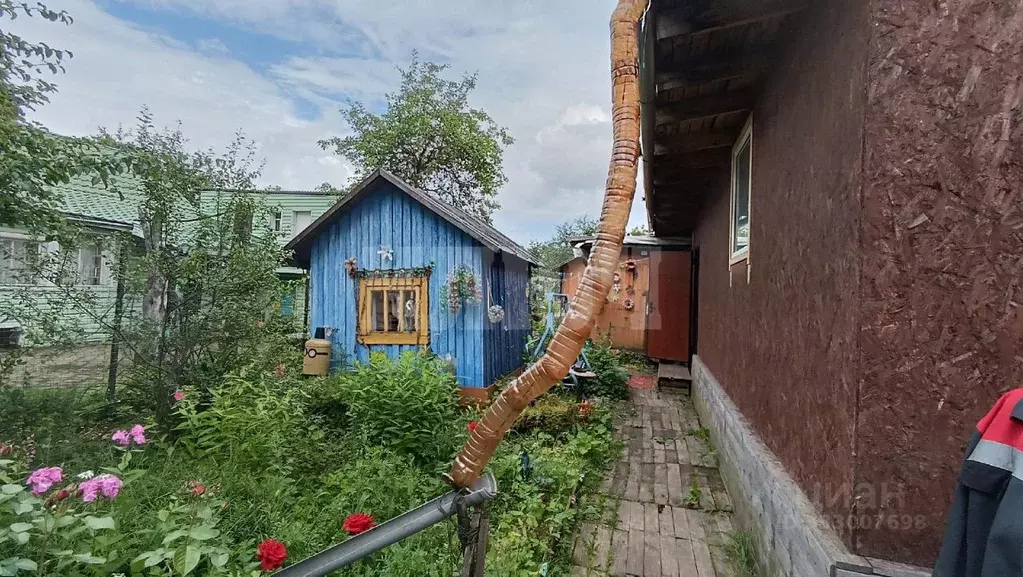 Дом в Вологодская область, Сокол ул. Станция Сухона, 24 (65 м) - Фото 2