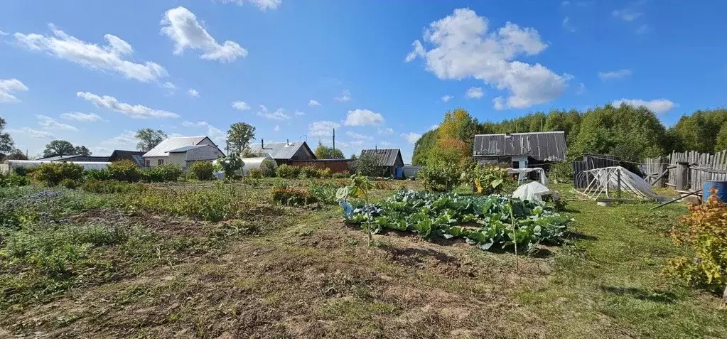 Дом в Пермский край, Чайковский городской округ, д. Маракуши ул. ... - Фото 0