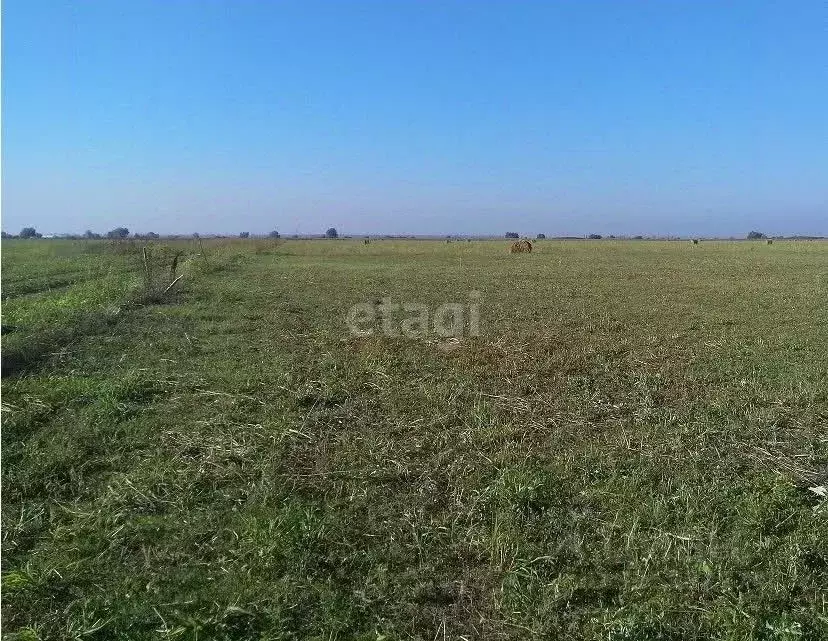 Участок в Крым, Джанкойский район, Светловское с/пос, с. Светлое ул. ... - Фото 1