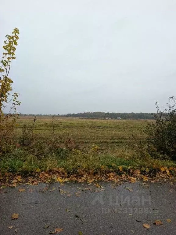 Участок в Калининградская область, Гурьевский муниципальный округ, ... - Фото 1