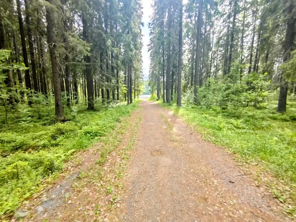 Дом в Карелия, Кондопожское городское поселение, Железнодорожник СНТ 9 ... - Фото 0